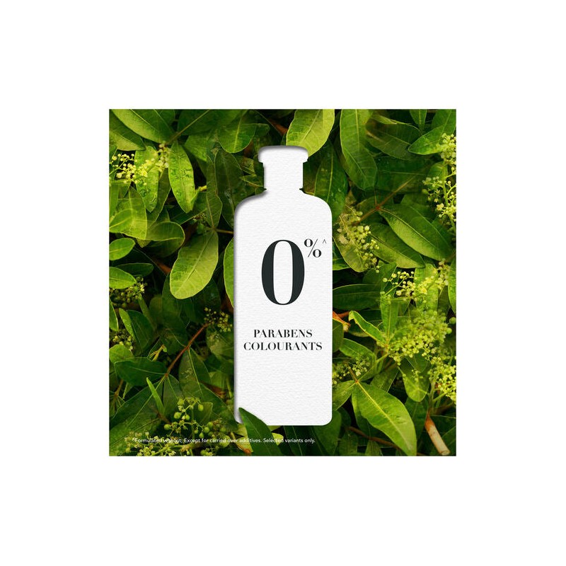 Herbal Essences Bio Renew Argan Oil of Morocco Conditioner 400mL