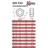 Hexagonal nuts (standard design) - M6 - (100 pieces) -