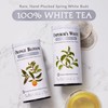 The Republic of Tea – Cucumber Mint 100% White Tea