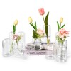 Bud Vases Set of 12 Clear Small Flower Vase in