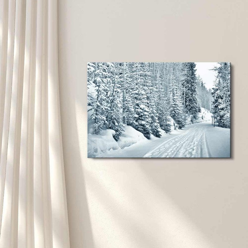 Canvas Prints Wall Art - Ski and Foot Prints Trought