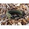Savior Survival Gear Paracord Bracelet with Stainless Steel Adjustable Shackle