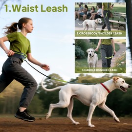 Hands Free Running Waist Leash for Dog Walking - 3-in-1 Adjustable Crossbody & Handle Bungee Leash with Zipper Pouch (Fits S/M/L)