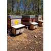 SerraMel - Wild Lavender Honey - 100% Biologic - Mel