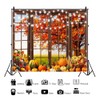 Pnylzzyxh Fall Backdrop Autumn Window Thanksgiving Day Backdrop Pumpkin Maple