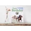 AK Giftshop Horse Racing Birthday Card With Badge