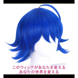 CaseEden WIG5611 Cosplay Wig, Full Wig, Heat Resistant, Short, Ahoo Hair, Blue, Blue Hair