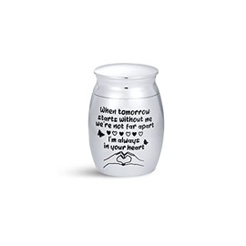 SBI Jewelry Small Urn for Ashes Adult Butterflies Women Mum Daughter Friend Love Beloved Family Dad Dog Cat Pet Cremation Adult Always In Your Heart