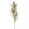 Darice Frosted Pinecone Spray - 10 X 35 Inches