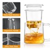 COPOTEA Glass TeaCup with Glass Infuser and Lid, 14.5oz/ 430ml