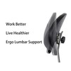 TAKE UR SEAT® Deluxe Heavy Duty Drafting Lab Stool Chair,