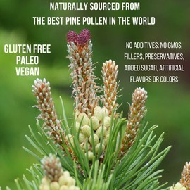 Pine Pollen Capsules - Non-Irradiated! - Nootropic Herb Packed with Amino Acids and Vitamin C - Great for Hair/Skin Care - Vegan, Paleo, and Keto Friendly, Gluten Free (150 Ct)