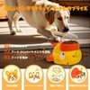 ZESLEY Automatic Feeder, Yellow Duck Feeder, 2025 Pet Educational Toy,