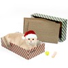 Conlun Cat Scratcher Box with 4 Cat Scratching Pads&2 Separate Cat Cardboard Boxes&Cat Ball, 2-in-1 Cat Scratch Box for Multiple Kitten Rest Interactive Play,Christmas Holidays Cat Toys Gifts