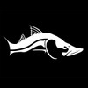 Snook Decal in Black or White 10"X3" / White Facing