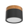 Temgin Ceiling Light Surface-Mounted LED 12 W IP65 Ceiling Spotlights