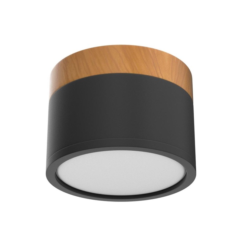 Temgin Ceiling Light Surface-Mounted LED 12 W IP65 Ceiling Spotlights