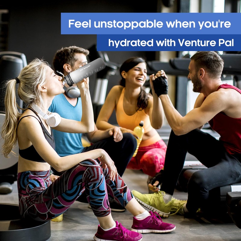 Venture Pal Sugar Free Electrolyte Powder Packets - Liquid Daily