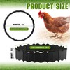 Colingmill 1 Set Chicken Dust Bath Tub Coop Lime Accessories