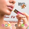 Natures Bees Juego de tubos de bálsamo labial con sabor