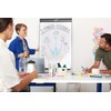 edding 385 Flipchart Effect Markers - Orange - Pack of