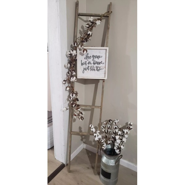 55 WHITE COTTON Gossypium Seeds Non-GMO USA Seller Grow Your