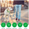 Adjustable LED Dog Collar – Reflective, Rechargeable & Anti-Lost (Green,
