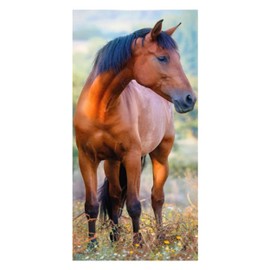 damaloo Children's Hand Towel 30 x 50 cm with Brown Horse Cotton for Children - Hand Towel for Girls and Boys - Guest Towel, Face Towel and Hand Towel - Small Wash Cloth 30 x 50 cm