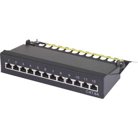 Renkforce PATCHBOX 12 PORT CAT 6A SCHW