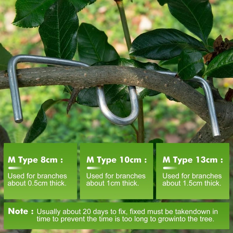 LXYYDS Pack of 30 Branch Separators for Fruit Trees, (8/10/13