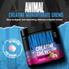 Animal Creatine Chews Tablets - Enhanced Creatine Monohydrate with AstraGin