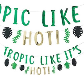 Fun Express Tropic Like It's HOT Banner - Party Decor - 2 Pieces