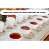 Cozy Up 100-Count Tea Pod Variety Pack for Keurig Brewer