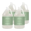 Terra Pure Hotel Body Wash/Hand Soap | Four Gallons |