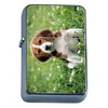 Dog Beagle 4 Oil Lighter