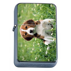 Dog Beagle 4 Oil Lighter