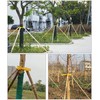 Tree Stake Kit Adjustable Plastic Support Staking for Young Tree