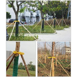 Tree Stake Kit Adjustable Plastic Support Staking for Young Tree Protection (TreeΦ=3in一6in)