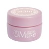 Preanfa PGU-M316 Color Gel Lapin Beige 316 0.1 oz (3