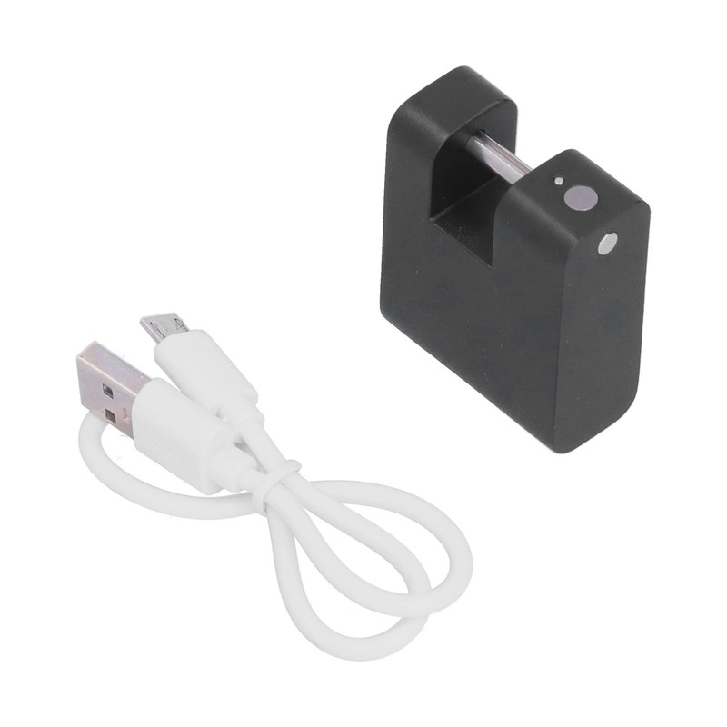 Fingerprint Padlock Anti Theft Electronic Lock for Suitcase Backpack Drawer