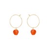 Carnelian Raw Nugget Hoop Earrings in 14k Gold Fill