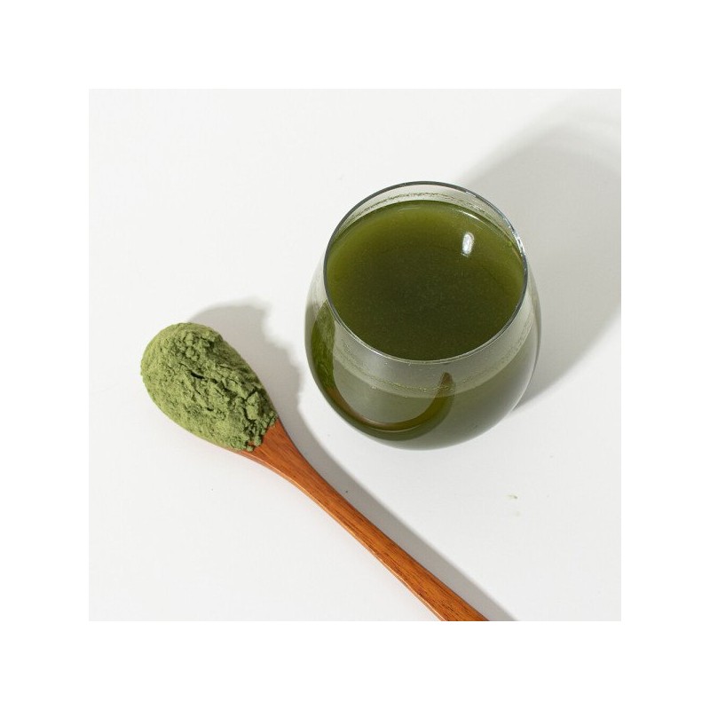 연잎분말 200g Lotus Leaf Powder 200g