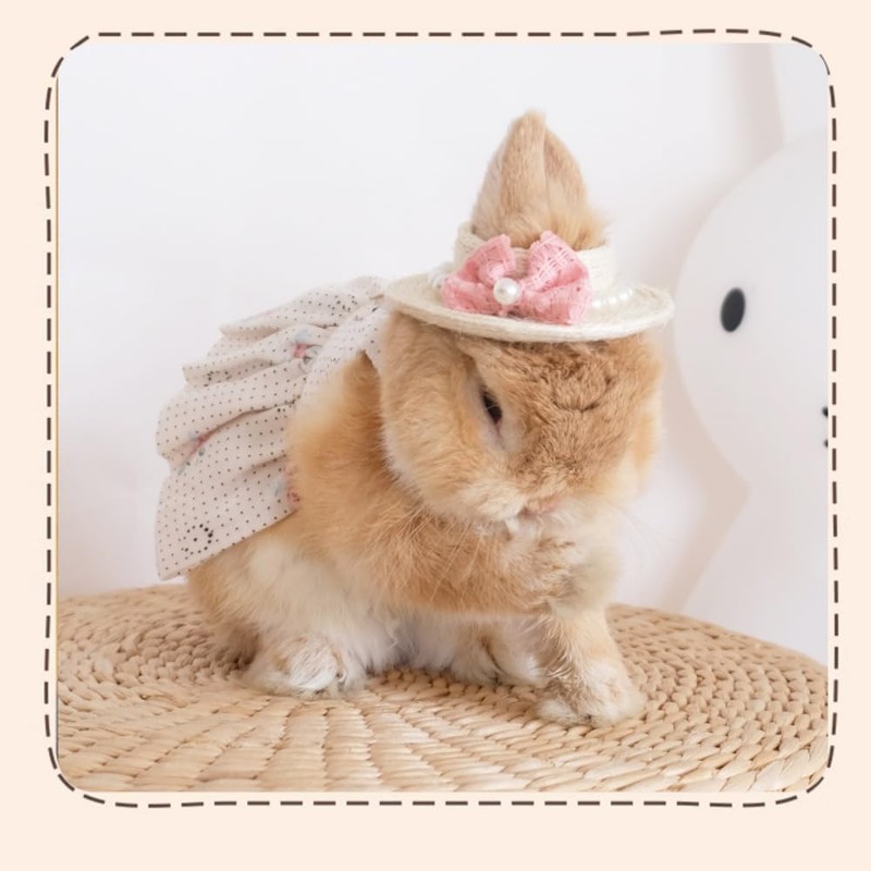 Rabbit Harness and Leash with Lovely Hat - Bunny Harness