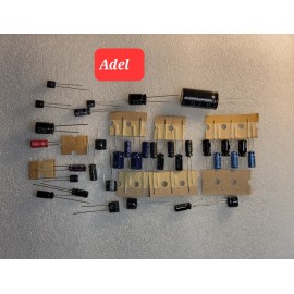 Panasonic DR29 RF-2900 Repair & Upgrade Panasonic Japan Kit 36 Pcs+Service Manul