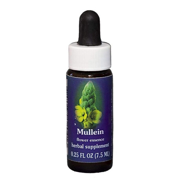 Flower Essence FES Quintessentials Mullein Supplement Dropper - 0.25 fl oz
