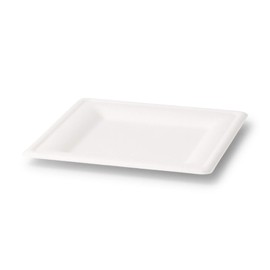 BIOZOYG Environmentally friendly disposable bagasse tableware, 50 pcs. sugar cane plates white square bleached 20x20 cm, Organic disposable tableware dinner plates, party plates, disposable tableware