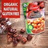 Galil Organic Roasted Chestnuts - 3.5 Oz Bags (Pack Of