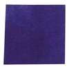 TCDesignerProducts Purple Tissue Parade Float Pomps Pack of 300-5-1/2 Inch