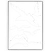 Bird Protection and Window Protection – 6 Stickers – Protection