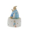 Beatrix Potter Musical, Multicoloured, one Size